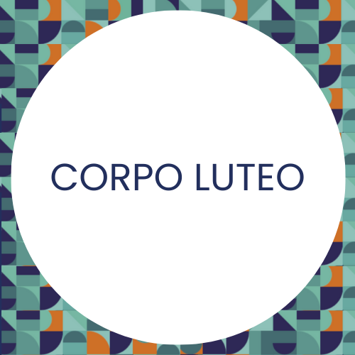 corpo_luteo_definizione