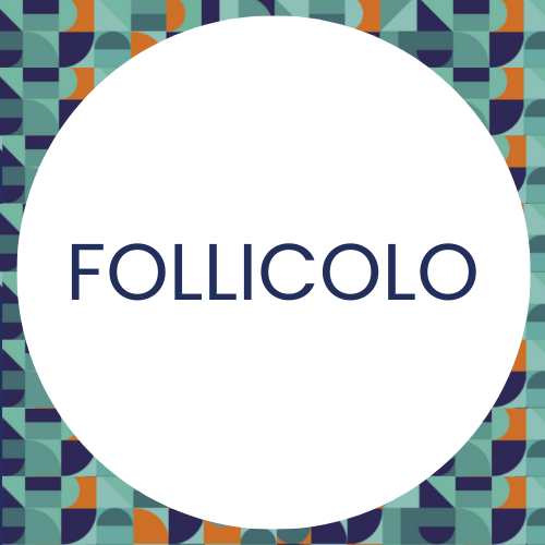 follicolo_definizione