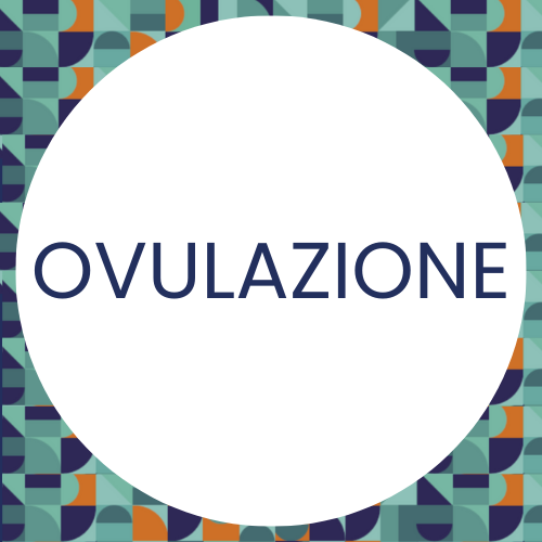 ovulazione significato